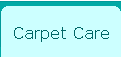 Carpet Care